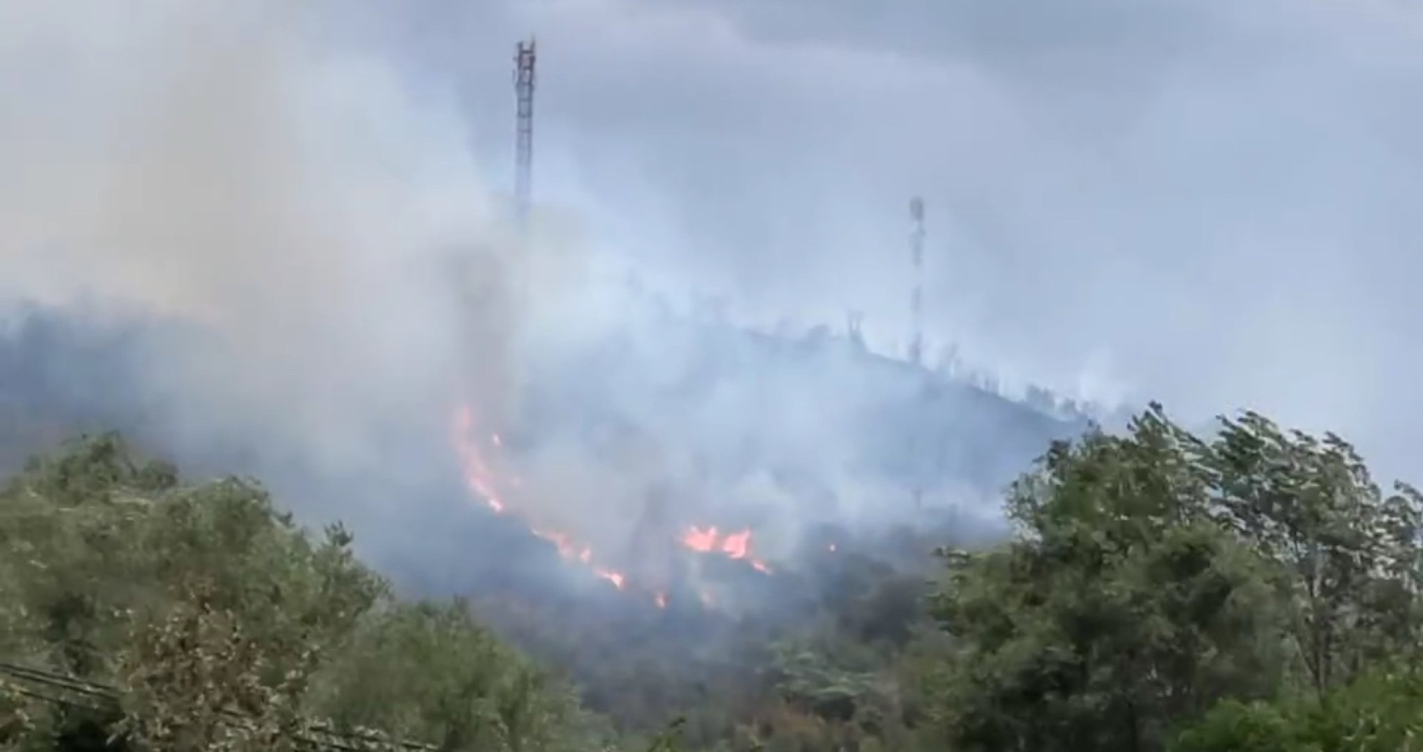 viber_image_2025-08-30_18-35-54-228