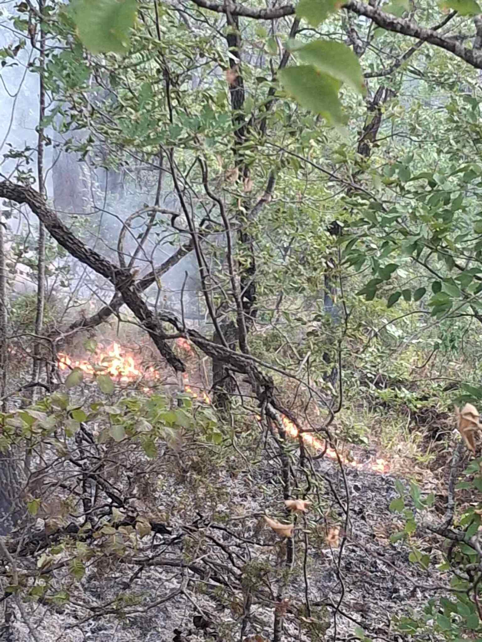 0-02-05-6667cd14698966e7040049fceb0af3312c6eefada2fbba7292999b000599424a_222a4d00f47