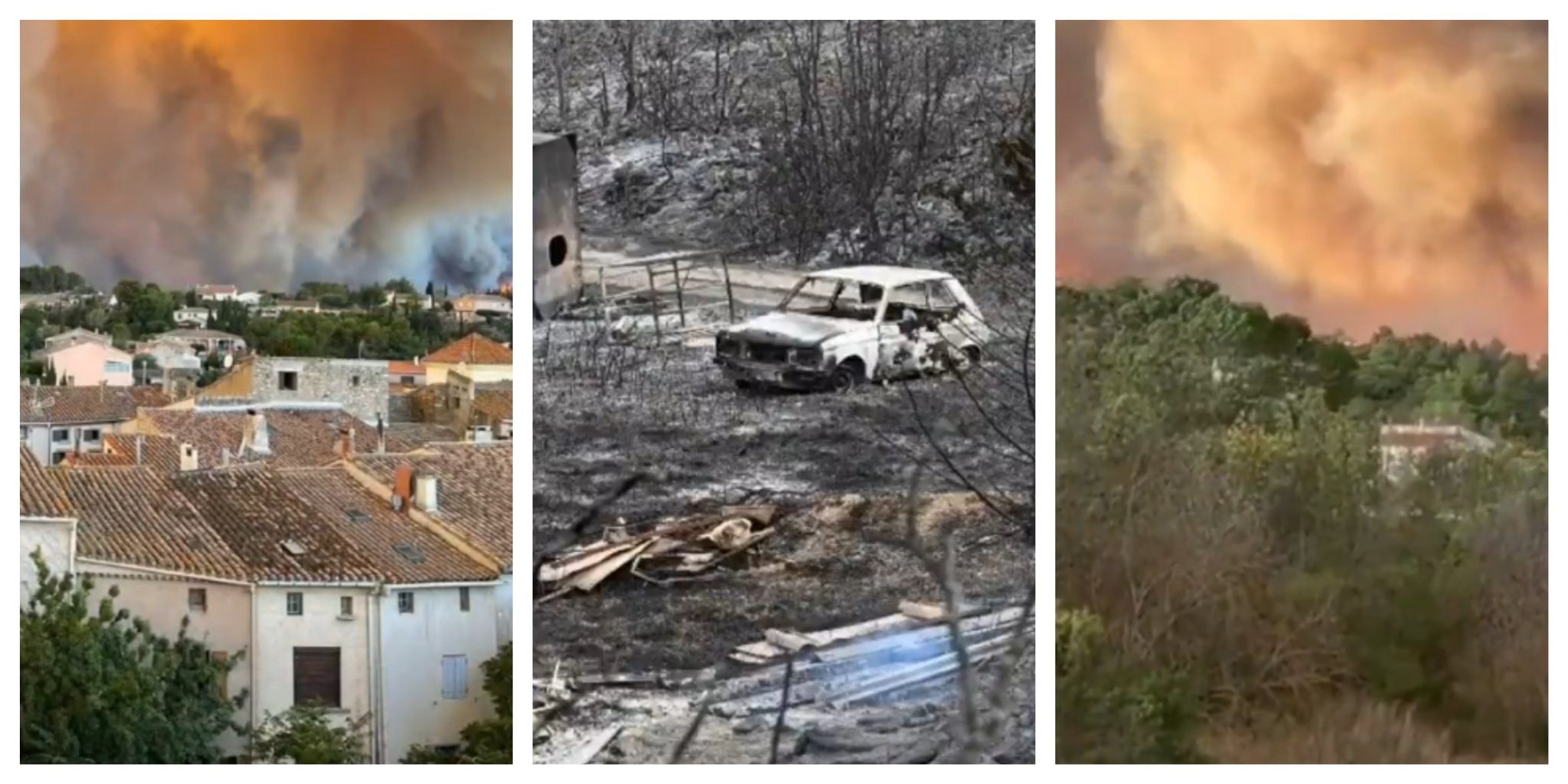 MixCollage-07-Aug-2025-12-18-PM-5664