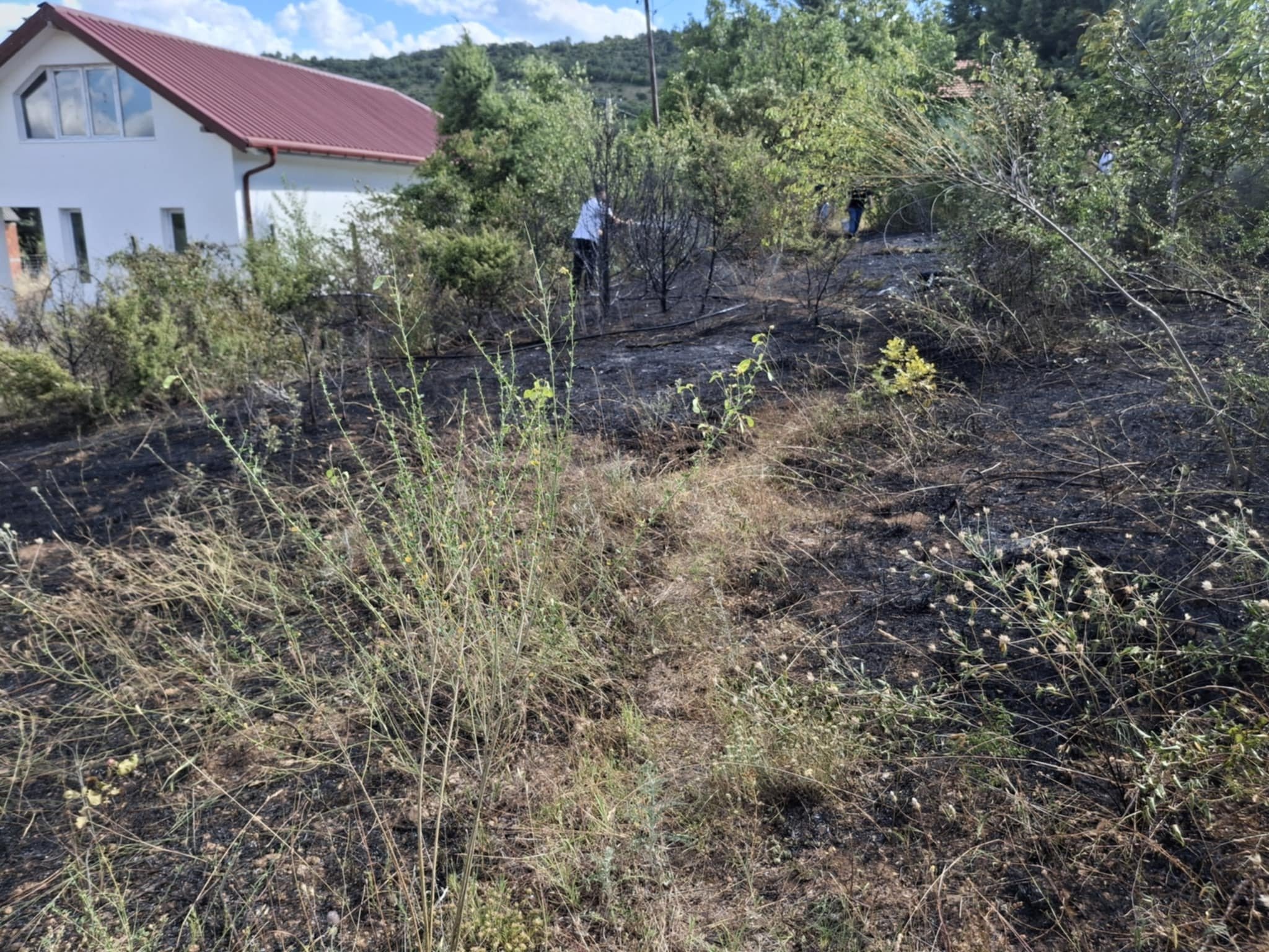 ad38ed85-fc1a-4aa7-bada-62fbc0eb2a5c-1