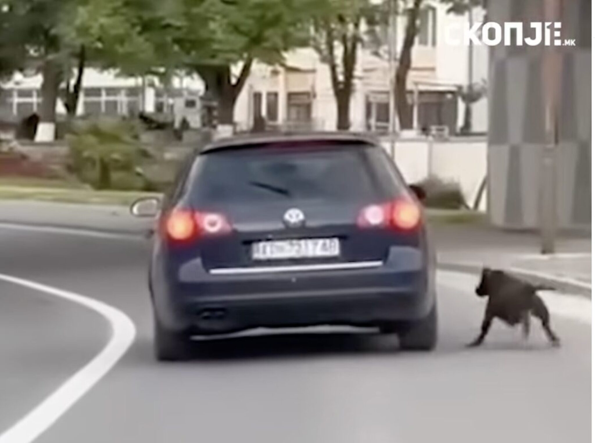 Screenshot-2025-05-11-at-13.22.33