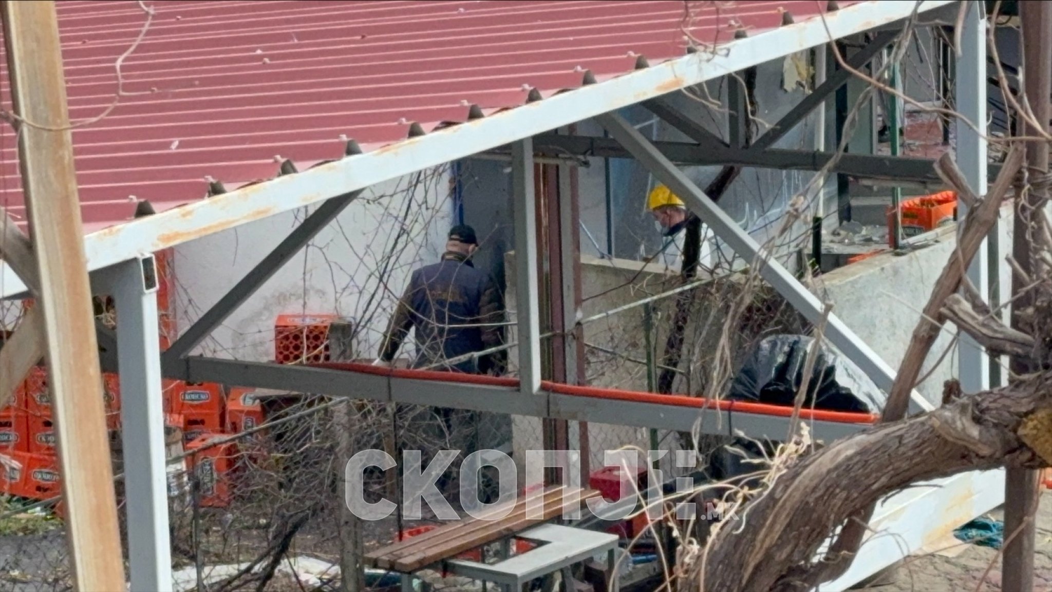 viber_image_2025-03-18_13-58-16-981