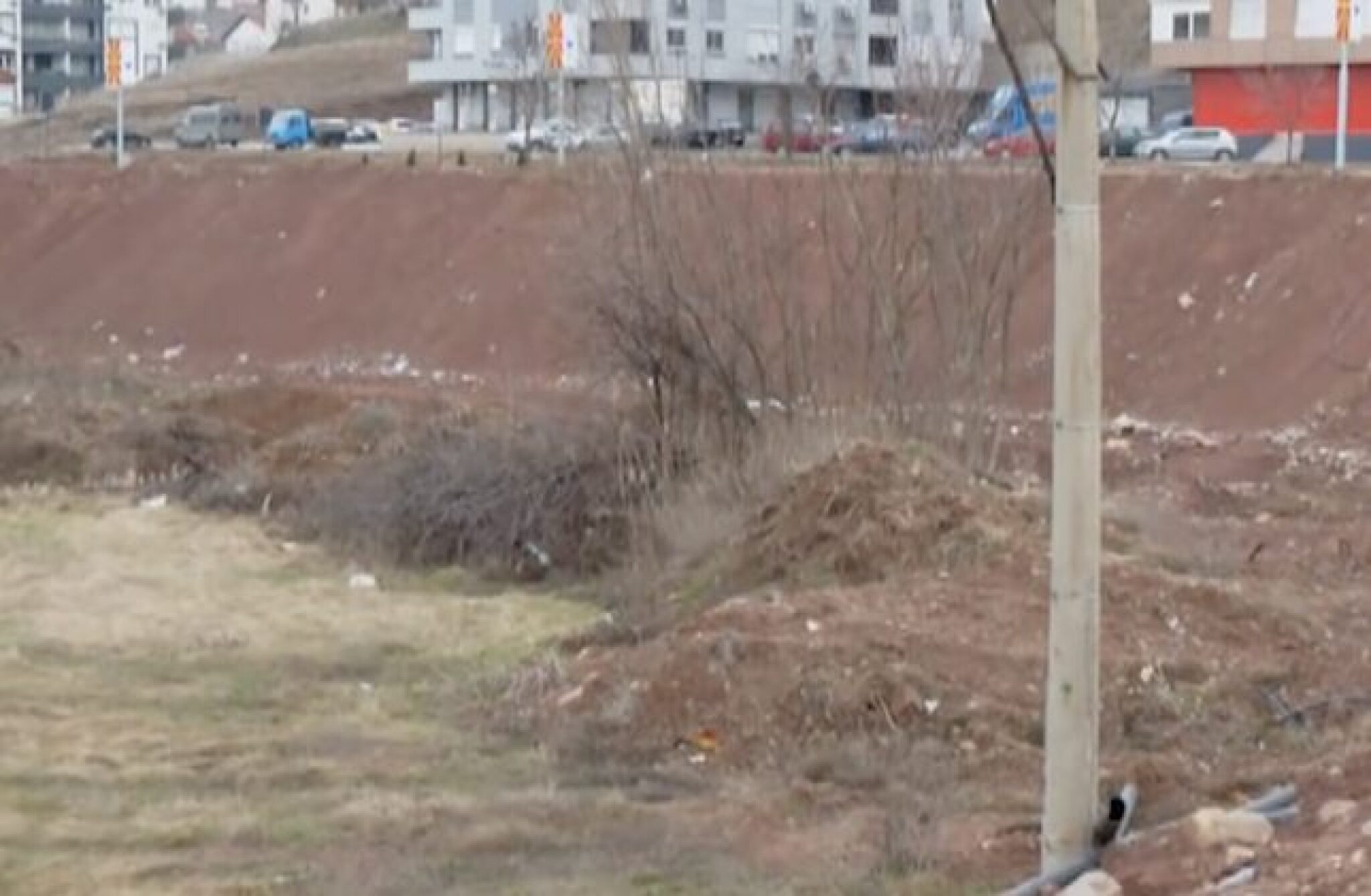 Screenshot-2025-02-22-at-11.57.14