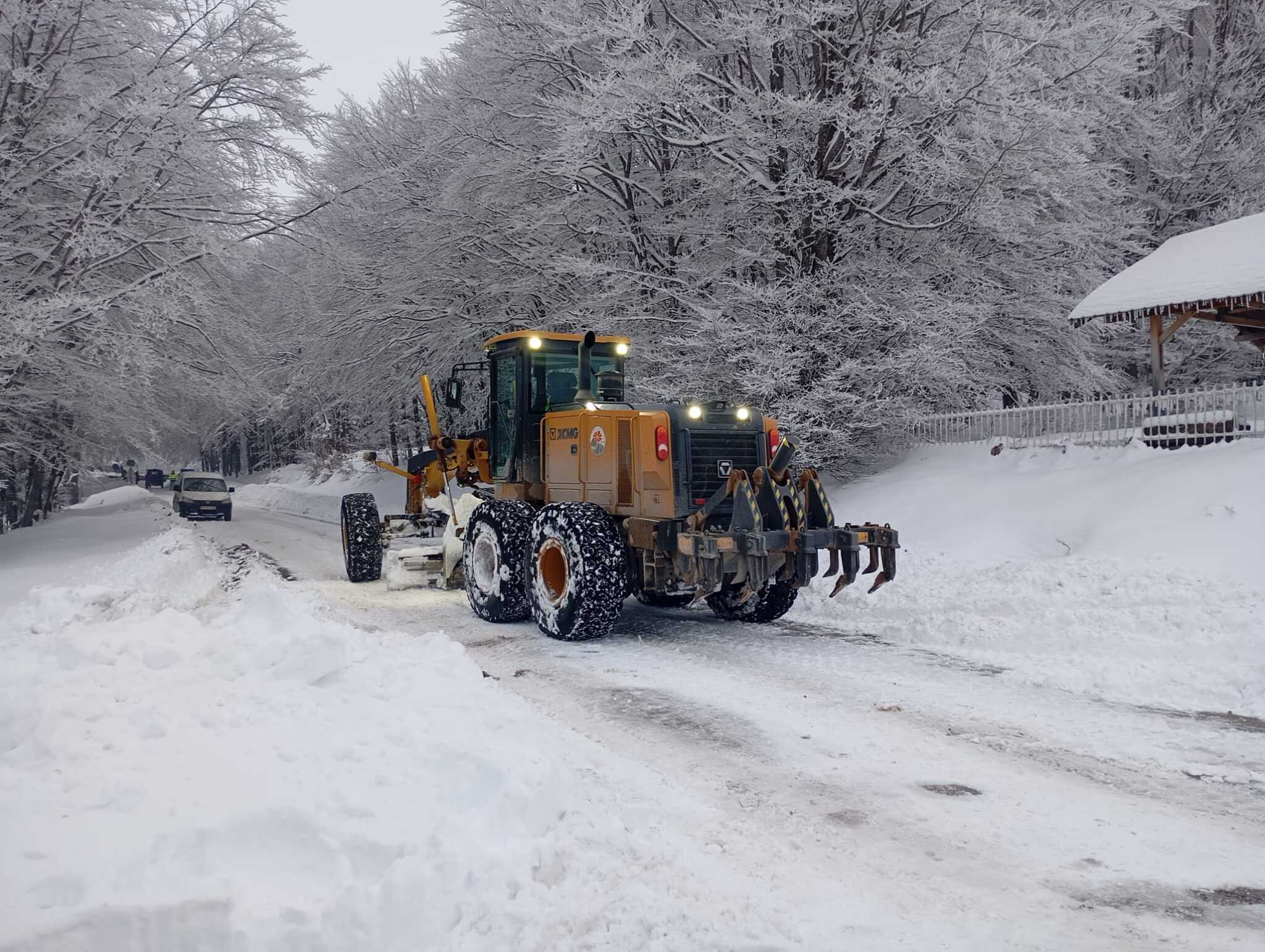 WhatsApp-Image-2025-01-16-at-16.11.54_c51889f5