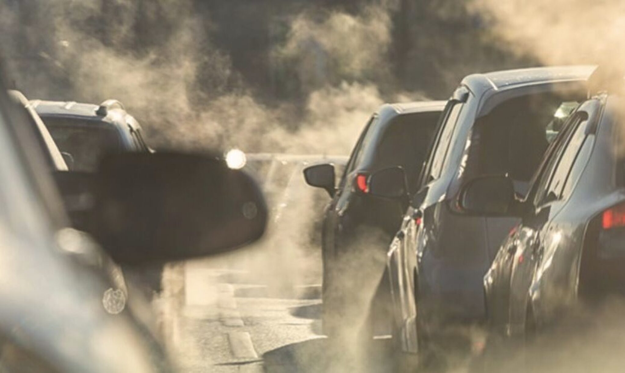 Screenshot-2024-08-12-at-15.05.51