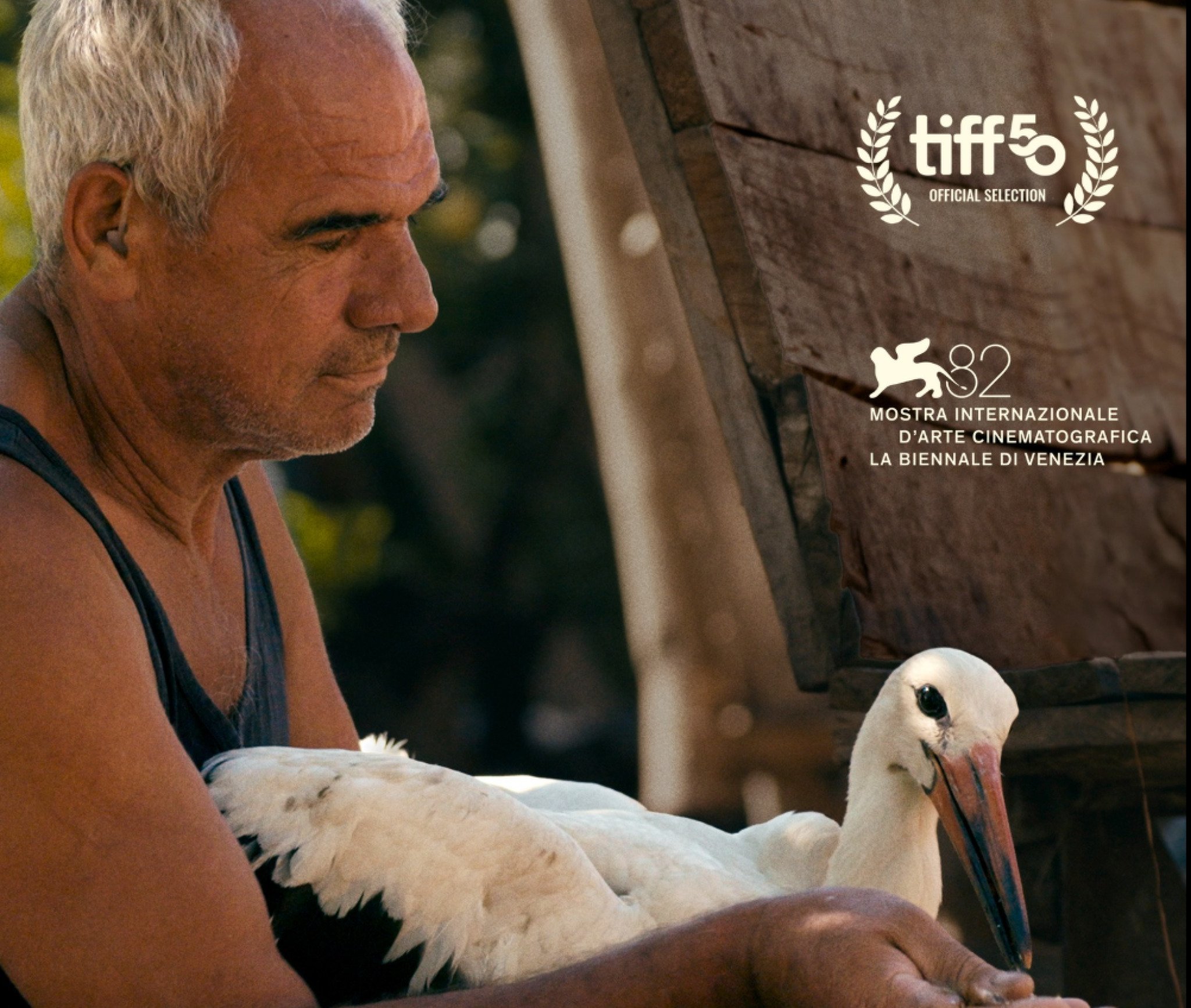 media-libraryt13iusqp4nqo3Ewghp7