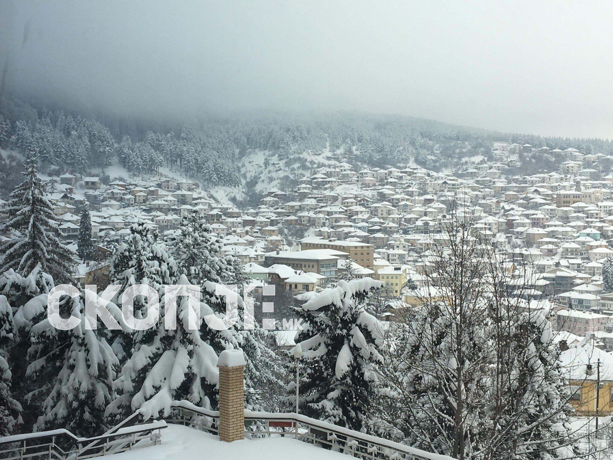 50151295_208183653469774_2950459480845844480_n_208183646803108