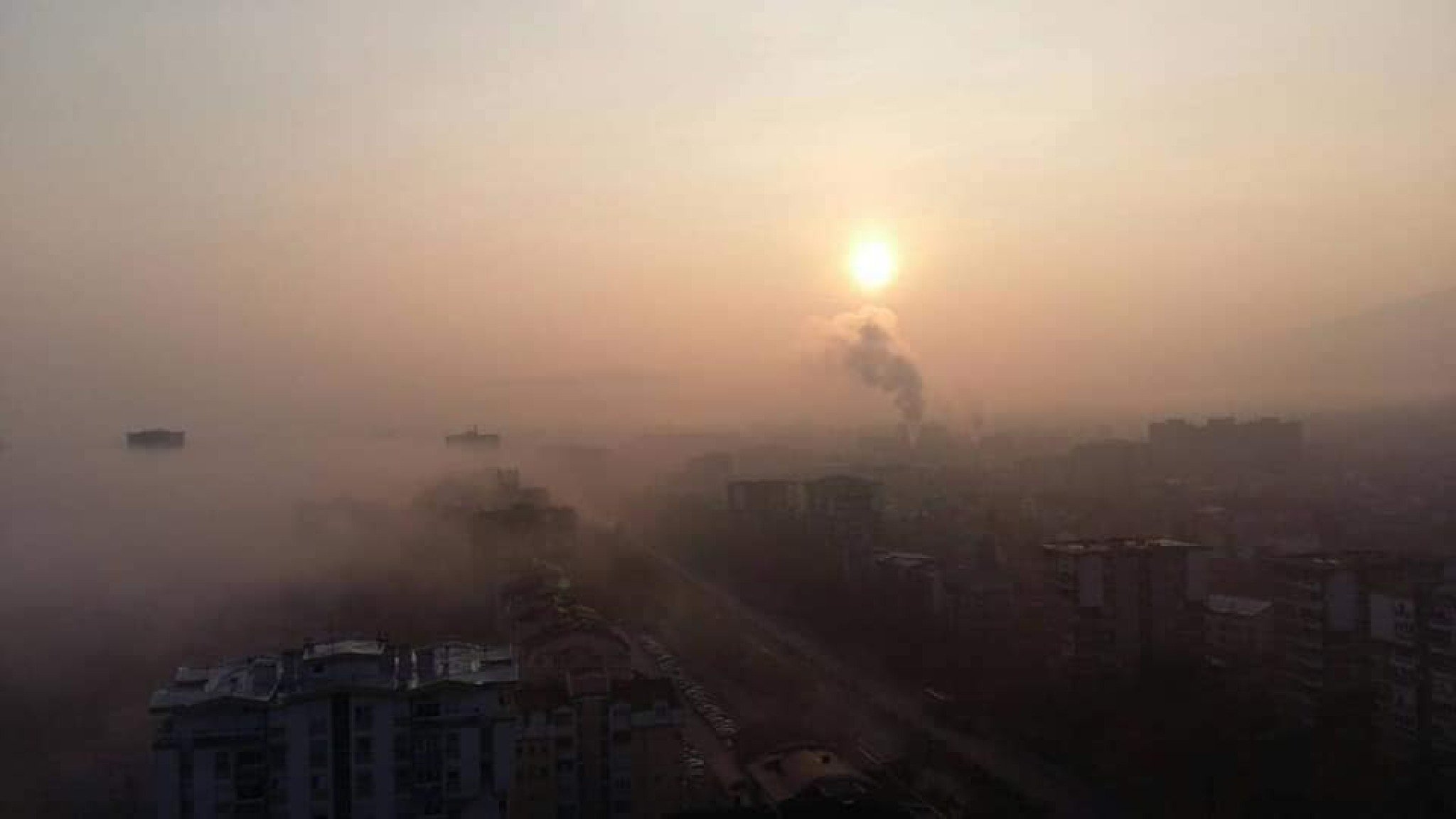 46065724_2242678189077887_401652701433167872_n