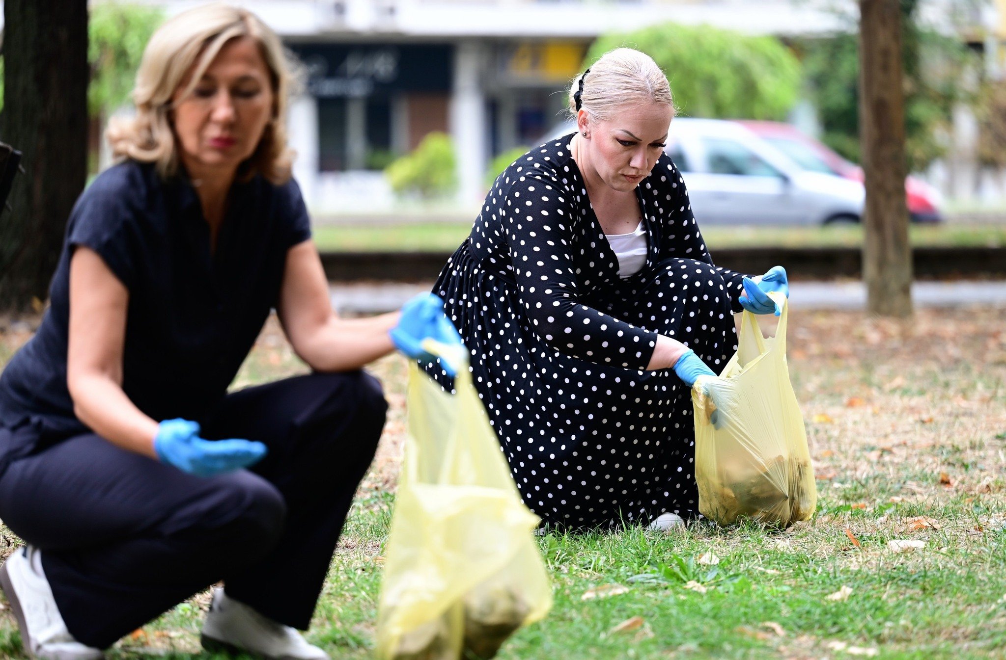 media-libraryfp9n23e5v163crEfq7m