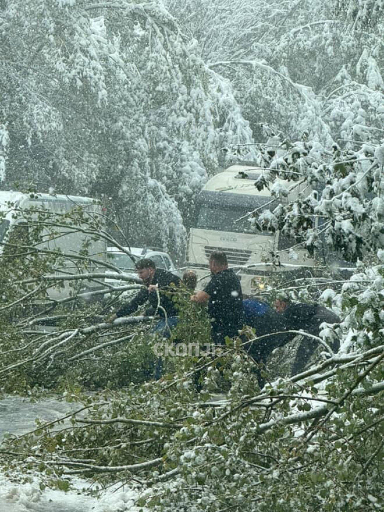 media-library5f3njs7hou38cTdeCLI