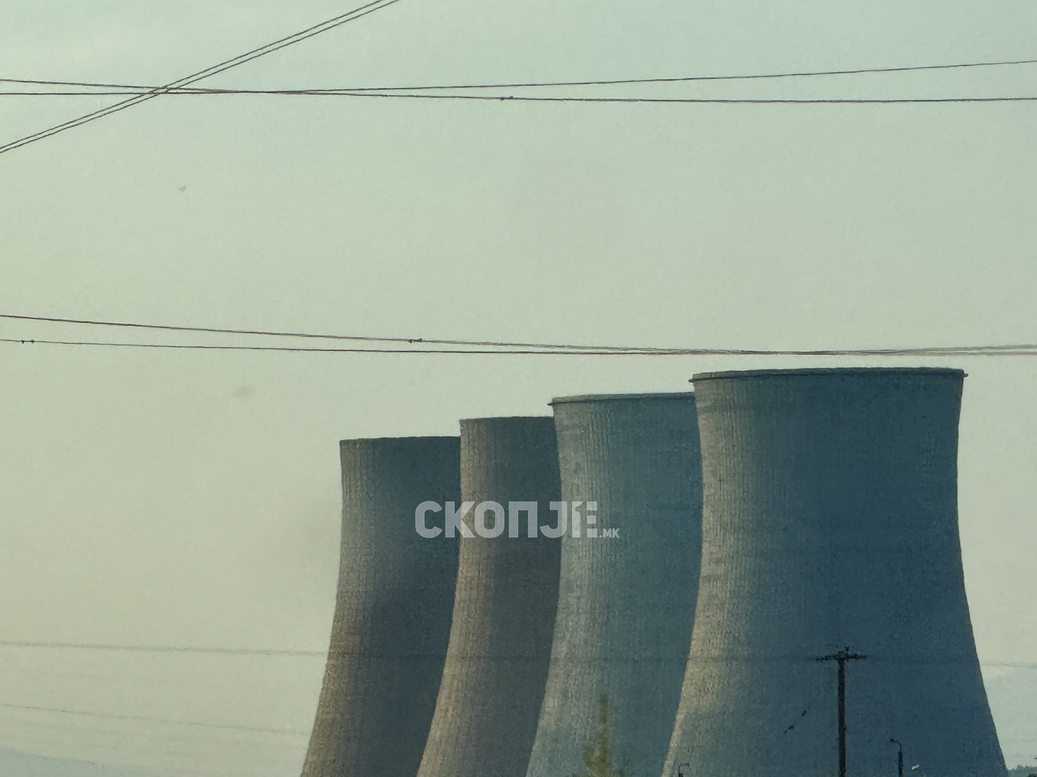 media-libraryj1hfsh5doho6aHnbRFn