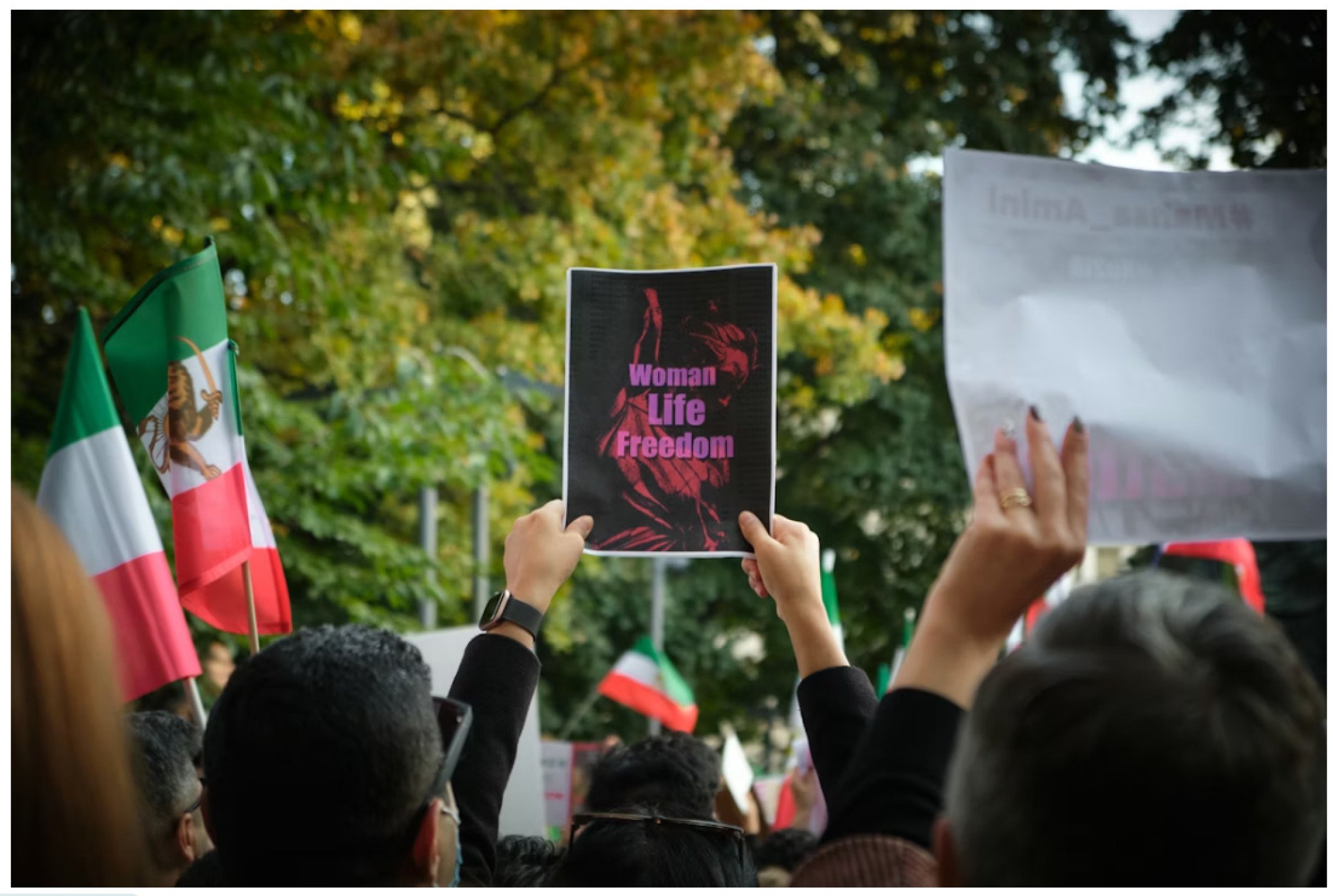 media-libraryu6g8spt40vd70OKN9DK