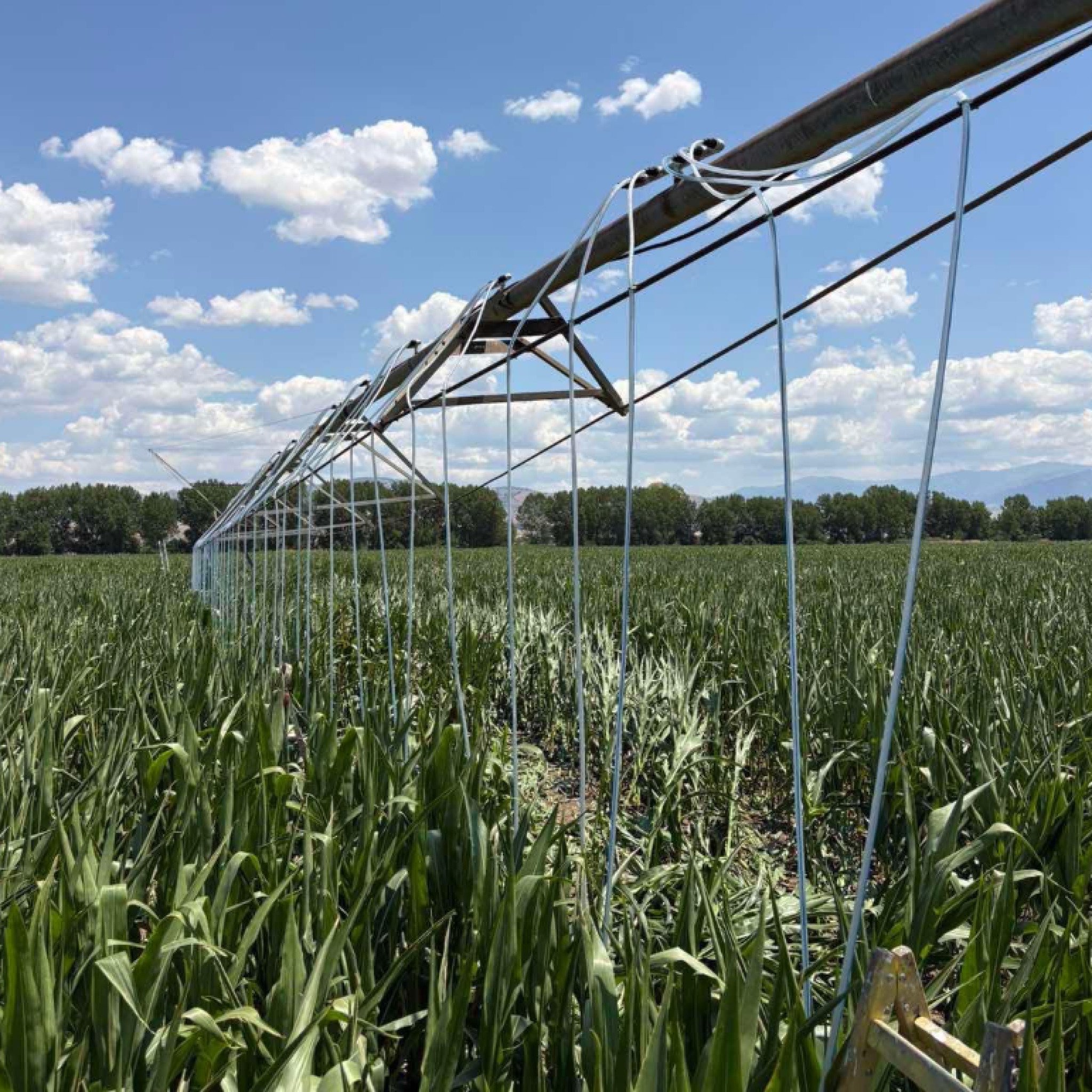 media-library2n1lie04fibb1k5sddE