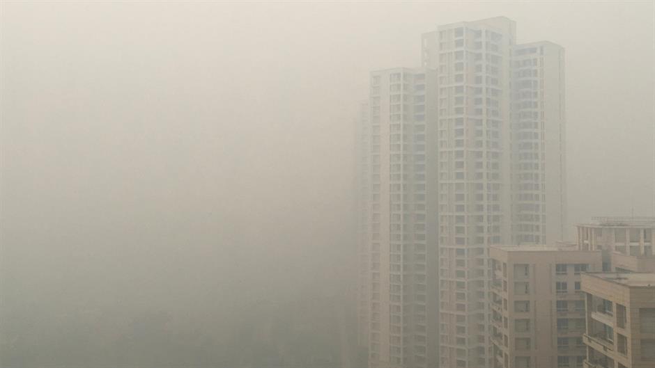 Nju-Delhi-smog