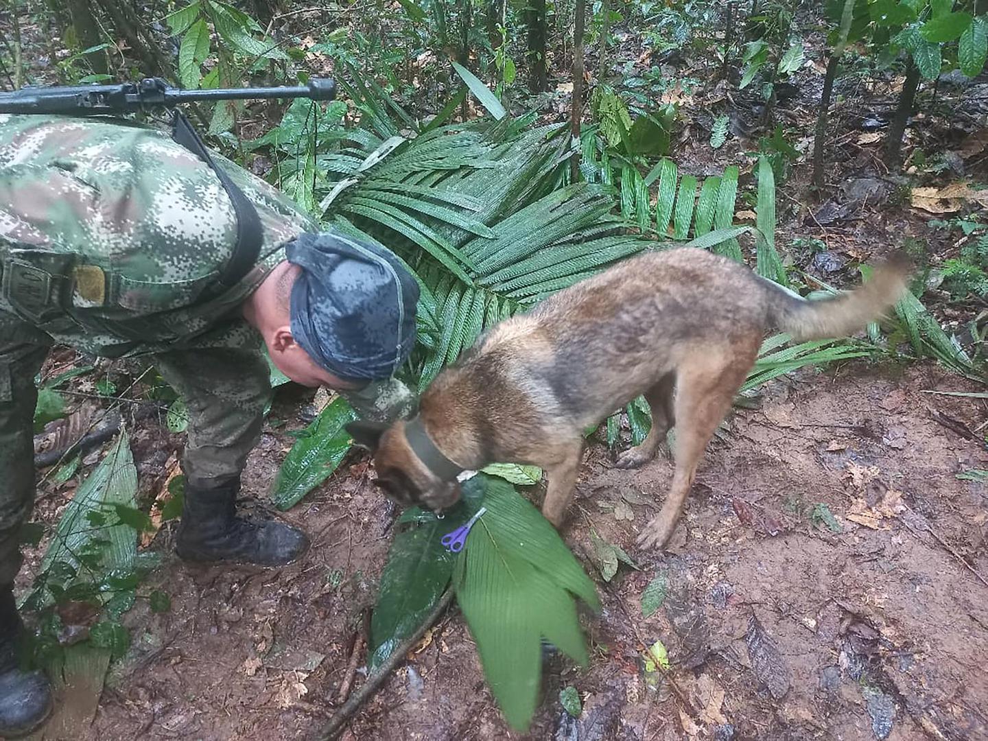 Три деца и бебе пронајдени живи во џунгла, две недели