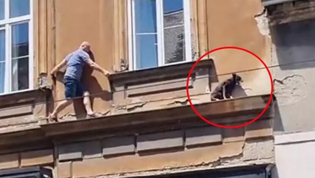 (Видео) Херојски подвиг што ја воодушеви Хрватска: Момче скокна од прозорец за да спаси куче, фасадата се рушела под него