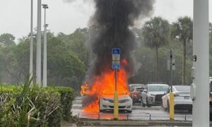 Ги оставила децата во автомобил и отишла да краде, но возилото се запалило пред трговски центар во Флорида