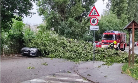 (Видео) Невреме во Загреб проследено со громови и силен ветер, паднати дрвја на улиците