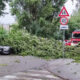 (Видео) Невреме во Загреб проследено со громови и силен ветер, паднати дрвја на улиците