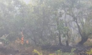 Се гасне пожарот кај Смилковското езеро