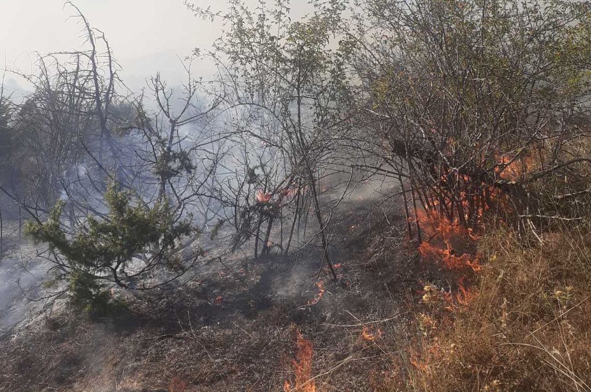 ЦУК: Пожарот кај село Зрзе е се уште активен, се шири и огнот во реонот на село Кошино, нов пожар и над Бељаковце