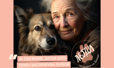 „Ако имаш место во срцето, имаш и во домот“ – кампања на ЈП „Лајка“ за посвојување бездомни кучиња