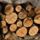 Лица од Велешта и Албанија краделе дрва од Јабланица, направиле штета од околу 60.000 евра