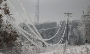 Десетици градови и села во Македонија останаа без струја поради снегот