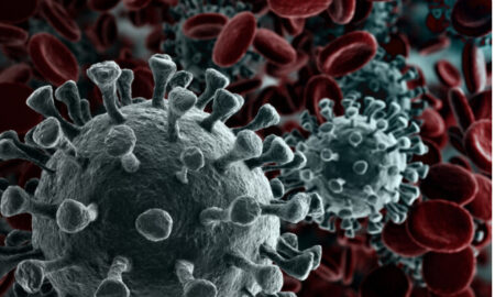 СЗО: Новиот вид на коронавирус претставува низок ризик за здравјето на луѓето