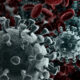 СЗО: Новиот вид на коронавирус претставува низок ризик за здравјето на луѓето